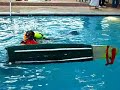 Dunk Test - Region 6 Dunk Test - Region 6