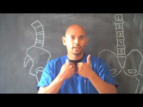 how to relieve lower back pain while sitting