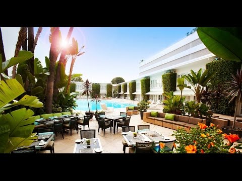 The Secrets Behind a Celebrity Hotel Revealed!