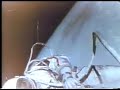 First Space Walk First Space Walk