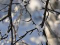 Finland in February