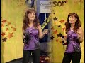 der gro�e hit von conny francis im neuen gewand - interpretiert von rosie palm im musiktresor bei kai victor