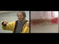 Groundwater Contamination