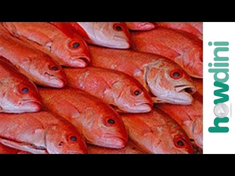 how to know fresh fish