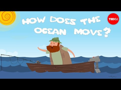 motion - View full lesson: http://ed.ted.com/lessons/the-motion-of-the-ocean-the-concentration-gradient-sasha-wright The constant motion of our oceans represents a va...