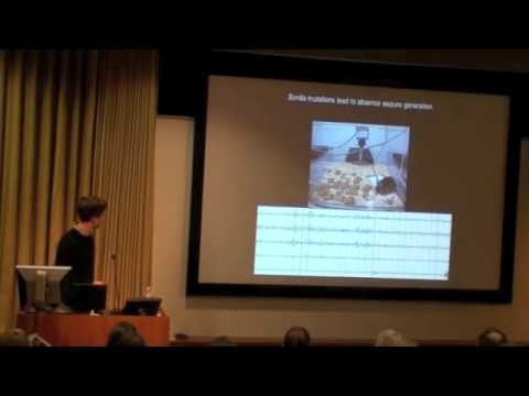 Chris Makinson – Mechanisms of Epilepsy: A Balance of Voltage-Gated Sodium Channels