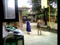 videos de SMAH street ball 2