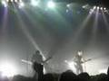 Interpol - Specialist