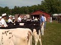 The Riceville Fair