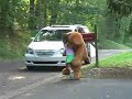 Ten Dollar Ted