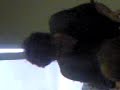 Mr Dubus