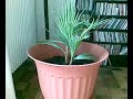 Test Nokia e61i