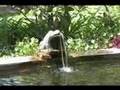 Lake Chapala Society