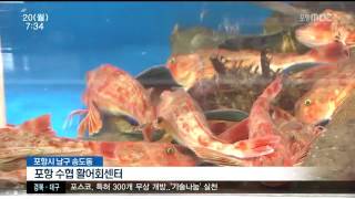 뉴스투데이