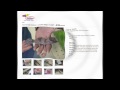 Pet Rescue—Independence Days '10 (HD)
