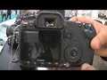 Nikon D300 and Canon 40D