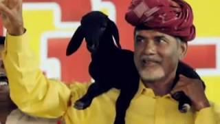 Vision2020 Leader  Nara Chandrababu Naidu Swarnaandhrapradesh