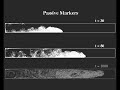 Overview of Turbidity Current Simulations