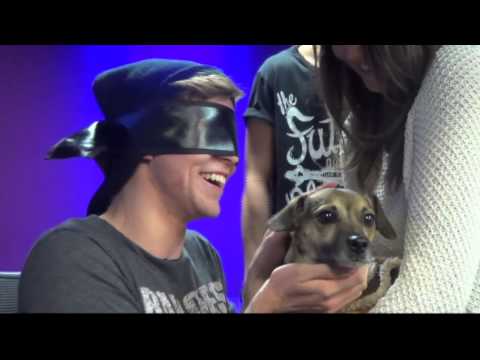 5 Seconds Of Summer play 5 Seconds of Snogging