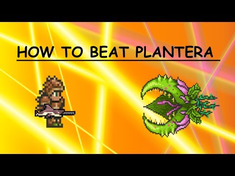 how to beat plantera