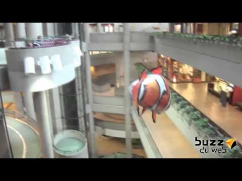 Regardez cette vidéo Regardez cette vidéo