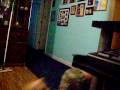 videos de weird little brother but also funny