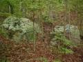 Beautiful 7.44 Acres lookin down into Sequatchie Valley.  Call Scott W. Blaylock