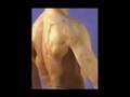 Shoulder Pain rotator cuff strengthening