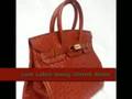 Celebrities & their Hermes Birkin Bags Togo, Ostrich Clemence and JPG
