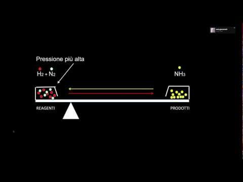 Il principio di Le Chatelier in 4 minuti