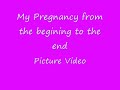 Pregnant belly- 11weeks to 10 months