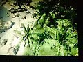 9800GTX Review in Crysis