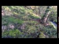 More at www.appletonpermaculture.com Join me on a stroll through the woods and hear some of my ideas on Permaculture Zone 5.