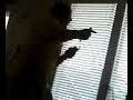 Rico being ASSEY