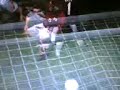 very beautiful freekick from 33m away (pes3) very beautiful freekick from 33m away (pes3)