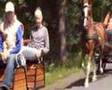 videos de Lits+Lauwers028 Skieppedrifte03