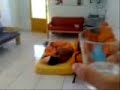 Acordando o Isaque