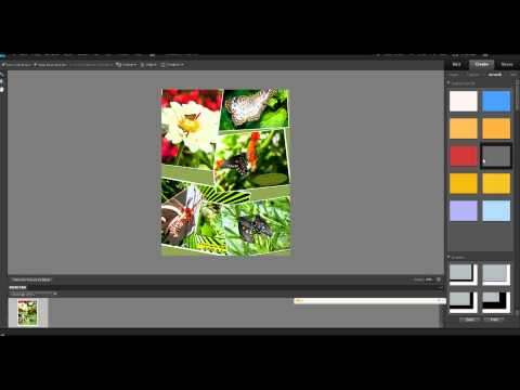 Photoshop Elements: Elements are grouped 9 photos