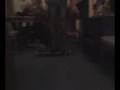 videos de heelflip/pop shuvit in the light