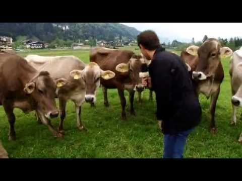 Kräuter in der Milch - Thomas Loferer, Kaiserwinkl