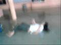 Jackass Virgolapense