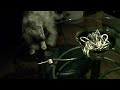 Foxxy The Cat Steals A Sucker