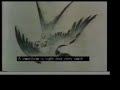 Hung Yi Hsiang (3of4)