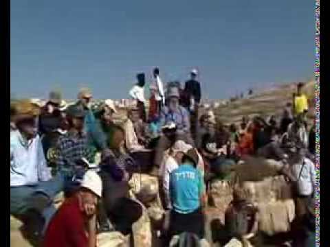 עמיתים - בטיול
