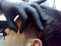 microdermals paitor microdermals paitor