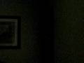 videos de Lauren Texas State Bobcat Scream
