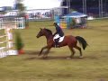 jeroen dubbeldam en pavarotti