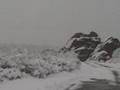 Blizzard 2006 -- Colorado Springs, Colorado