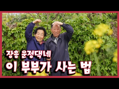 [남도지오그래피] 이 부부가 사는 법, 장흥 운정댁네