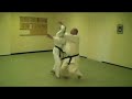 Aikido Yoshinkai Burnaby - Mustard Sensei